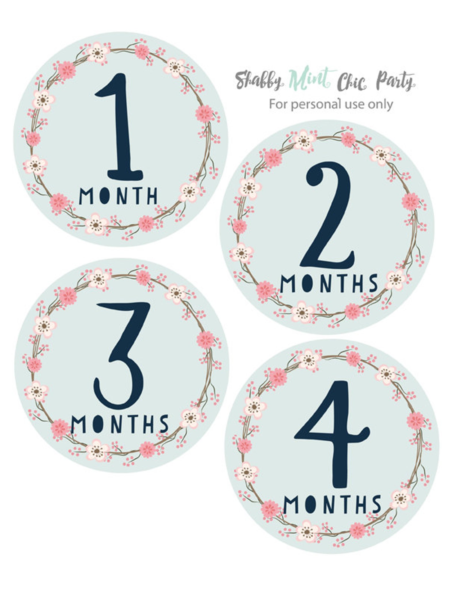 PRINTABLE Baby Monthly Milestone Sticker. Baby Gift. Monthly - Etsy