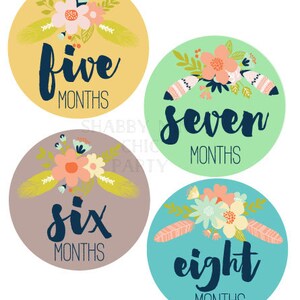 PRINTABLE Baby Monthly Stickers.floral Baby Stickers. Baby Girl ...