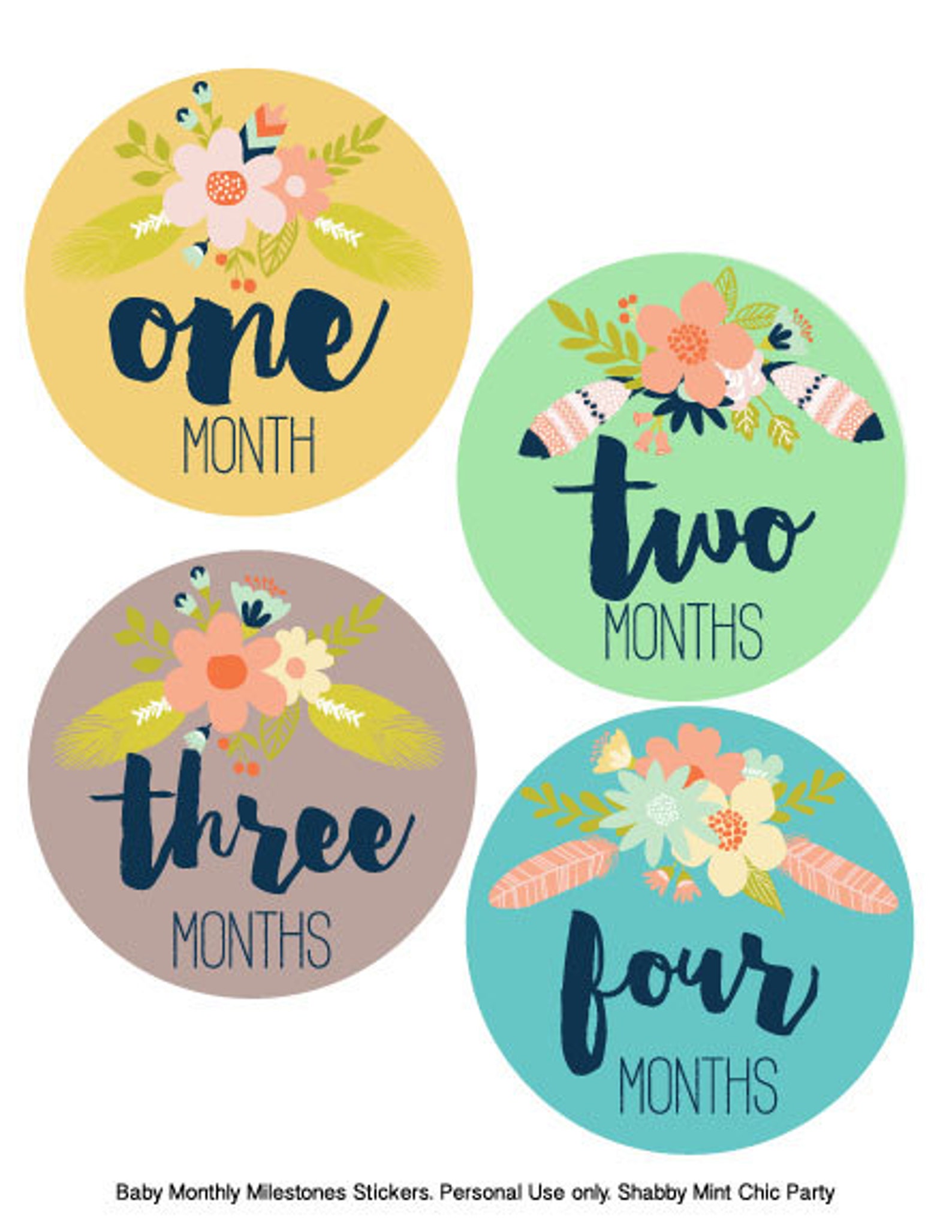 Baby Monthly Stickers | Mauve Floral Baby Milestone Stickers