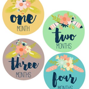 PRINTABLE Baby Monthly Stickers.floral Baby Stickers. Baby Girl ...