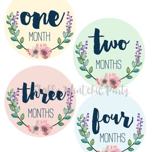 May include: Four round baby milestone stickers with floral wreaths and the words "one month", "two months", "three months", and "four months".