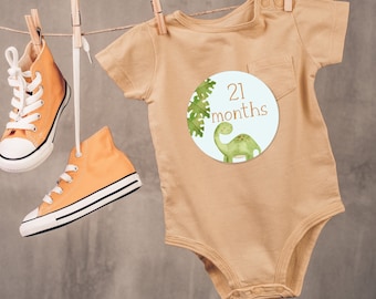 Dino-Milestone Magic: 13-24 Months Printable Monthly Stickers for Adorable Baby Photos!