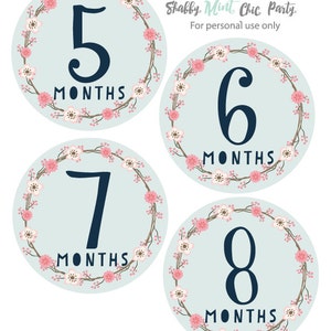 PRINTABLE Baby Monthly Milestone Sticker. Baby Gift. Monthly Baby ...
