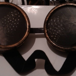 May include: A pair of round, steampunk-style goggles with a black leather strap. The lenses are clear and have a pattern of feathers printed on them.