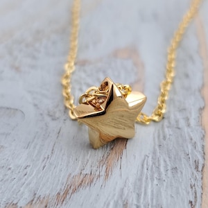 Tiny Gold Star Cremation Ash Urn Pendant Necklace - Gold Stainless Steel - Pet Remains - Memorial Custom Engraved Mourning Gift Personalized
