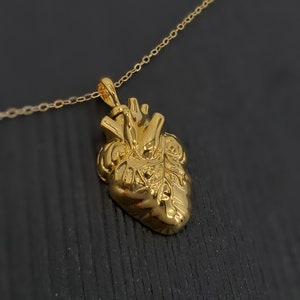 Gold Anatomical Heart Cremation Ash Urn Pendant Necklace - Solid Gold Plated 925 Sterling Silver Vermeil - Free Engraving