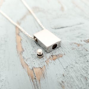 Sterlingzilveren asurnhangerketting: moderne herdenkingssieraden, gepersonaliseerde gravure huisdier afbeelding 3