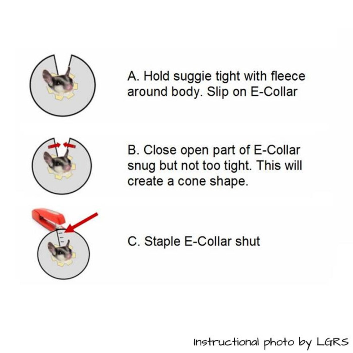 Sugar Glider Safety ECollar for Neutering & Emergencies Etsy