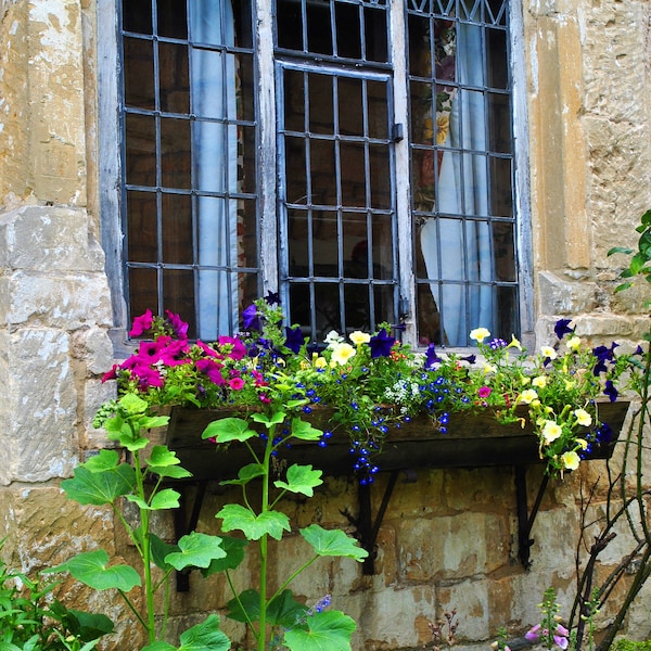 Cotswold Photography,Cotswold Cottage,Cotswold Window,Fine Art Photography,Flowers,England Photography,English Photography,Wall Art,Country