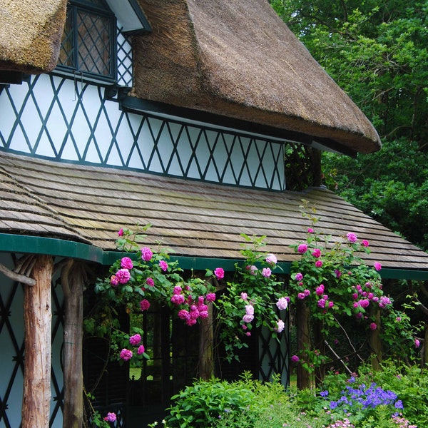 Ireland Photography, Swiss Cottage, Cottage Photography, Thatched Roof,