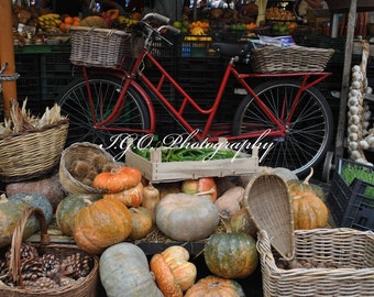 Food Photography - Campo di Fiori Market  - Rome Italy - Bicycle - Pumkins -  Garlic - Vegetables - Wall Art -Nature Photography - Fine Art