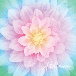 Dream Big Opal  Dahlia Quilting Panel - Hoffman Spectrum by Jeanie Sumrall-Ajero
