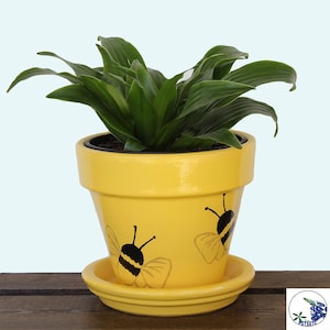 Painted Bee Planter Pot - Bee Decor, Decorative Indoor Plant Pot, Desk Planter