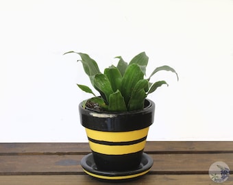 Small Black and Yellow Striped Cute Flower Pot - Modern Planter, Plant Pot, PotsEtc