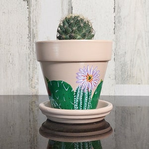 Painted Succulent Terracotta Planter/Small 4 Inch Cactus Plant Pot