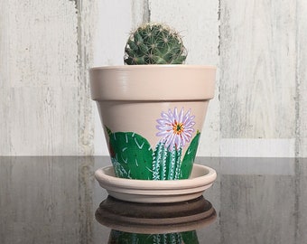 Painted Succulent Terracotta Planter/Small 4 Inch Cactus Plant Pot