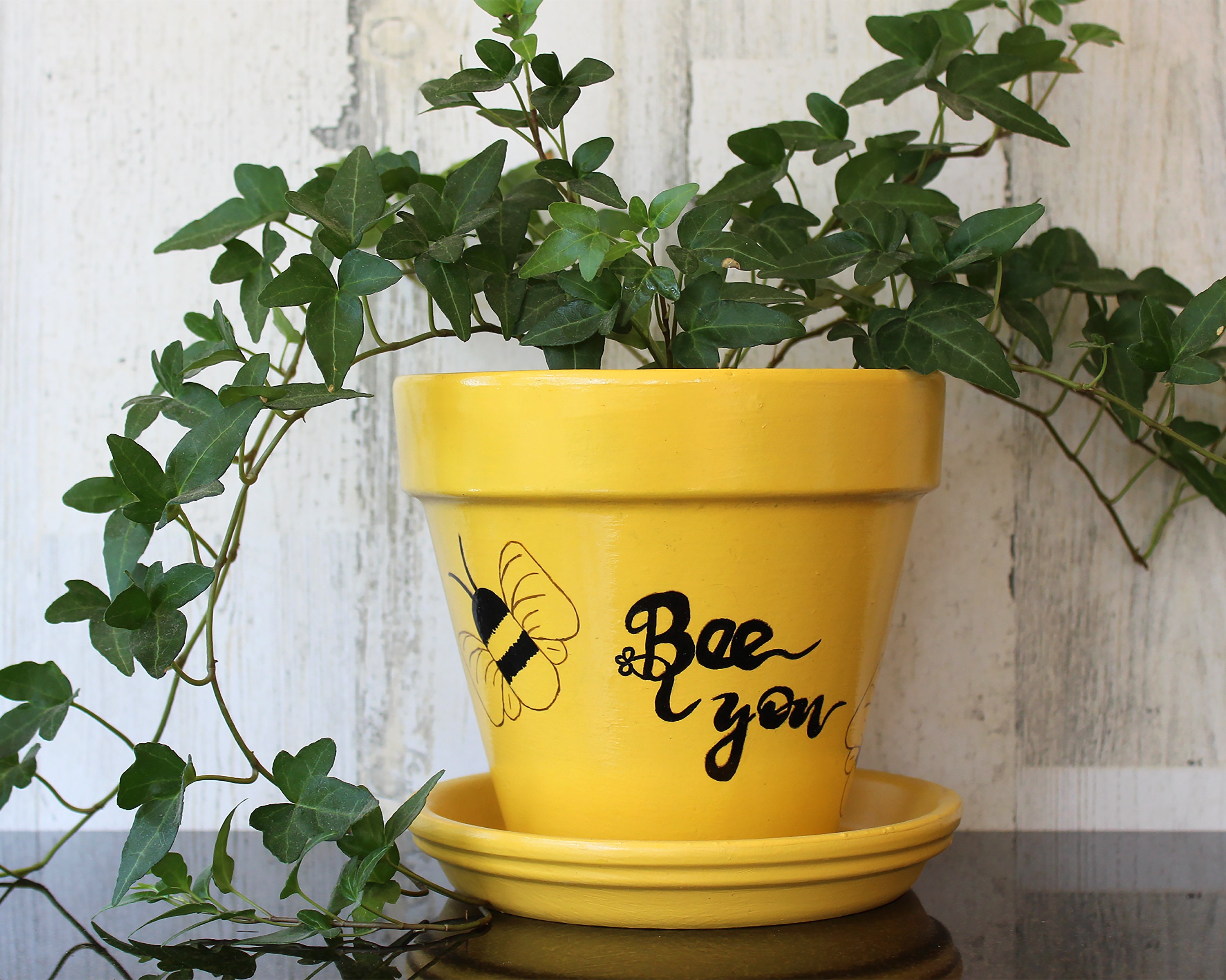 Painted Spring Bee Buzz Yellow Flower Pot - 6 Inch Bee You Planter