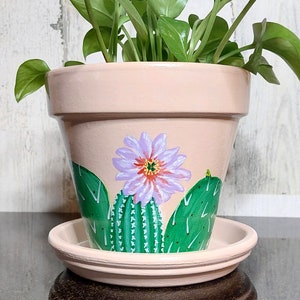 Painted Succulent Plant Pot/Small 4 Inch Terracotta Cactus Planter
