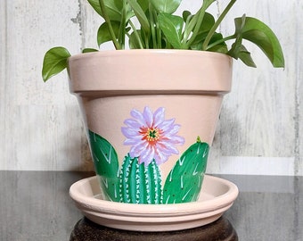 Painted Succulent Plant Pot/Small 4 Inch Terracotta Cactus Planter