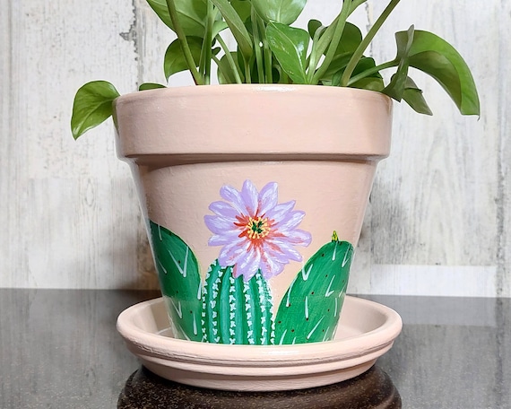 Painted Succulent Plant Pot/small 4 Inch Terracotta Cactus Planter - Etsy