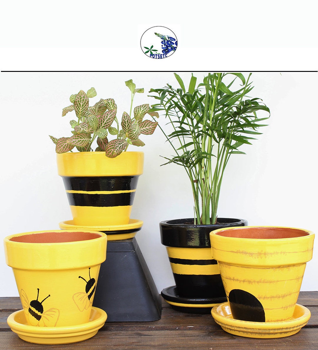 Painted Bee Planter Set - Yellow and Black Desk Planter, Potsetc