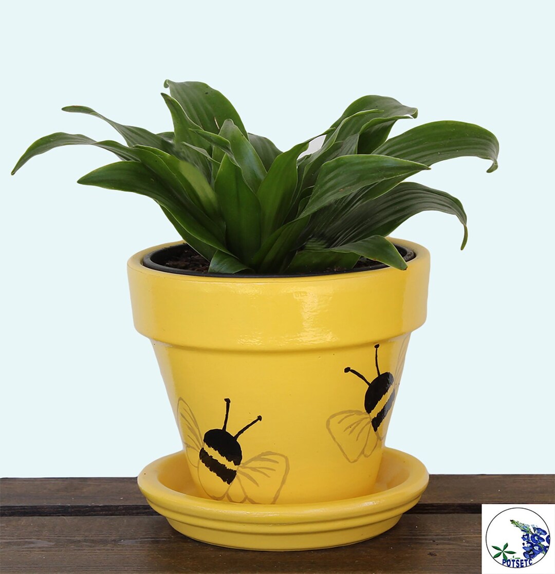 Painted Bee Planter Pot - Bee Decor, Decorative Indoor Plant Pot, Desk ...