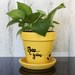 see more listings in the Bee Planters section