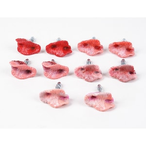 May include: Ten decorative cabinet knobs in the shape of a flower. The knobs are made of a pink and red resin material. The knobs have a silver screw.