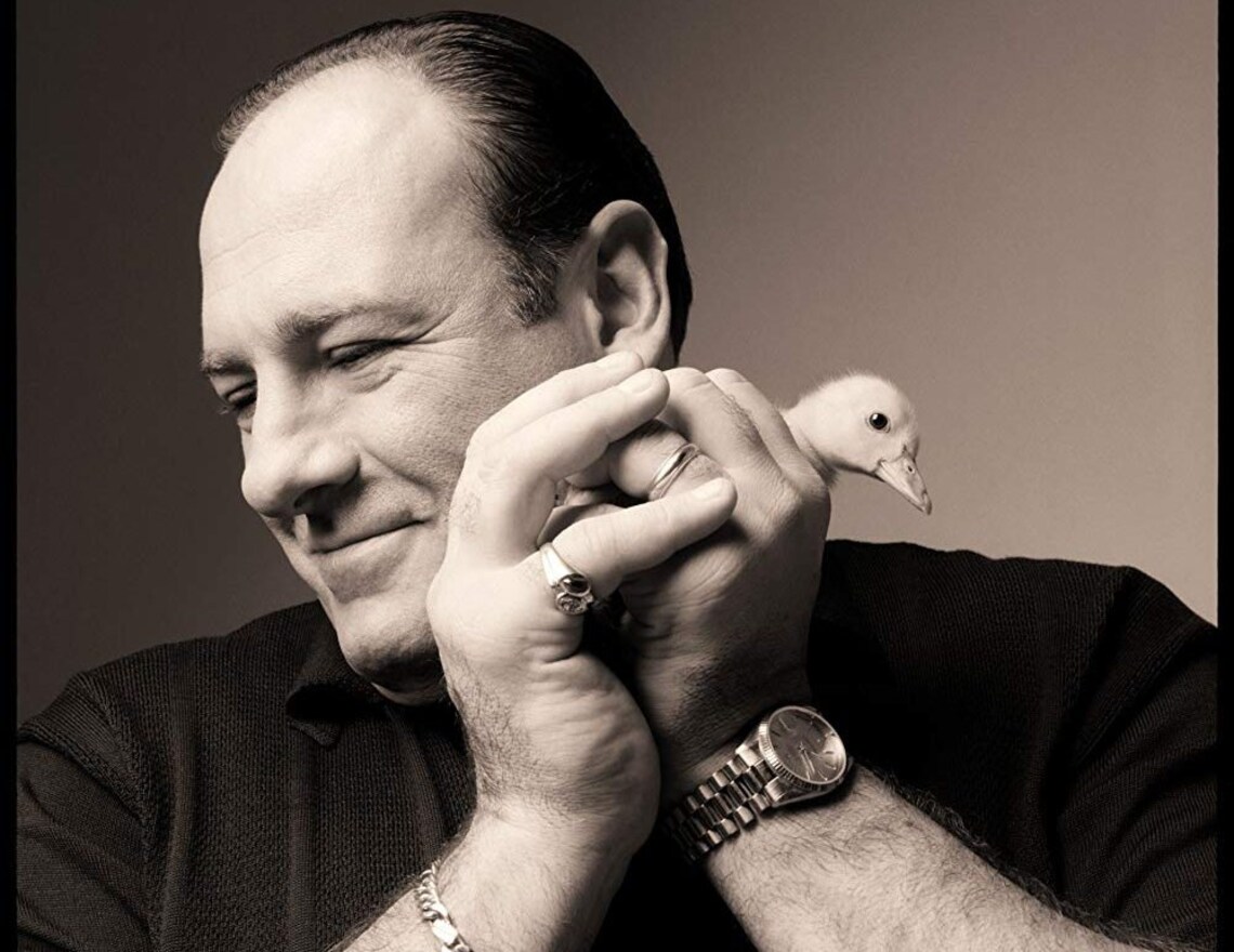 James Gandolfini with cute little DUCK 8.5x11 PHOTOGRAPH Etsy
