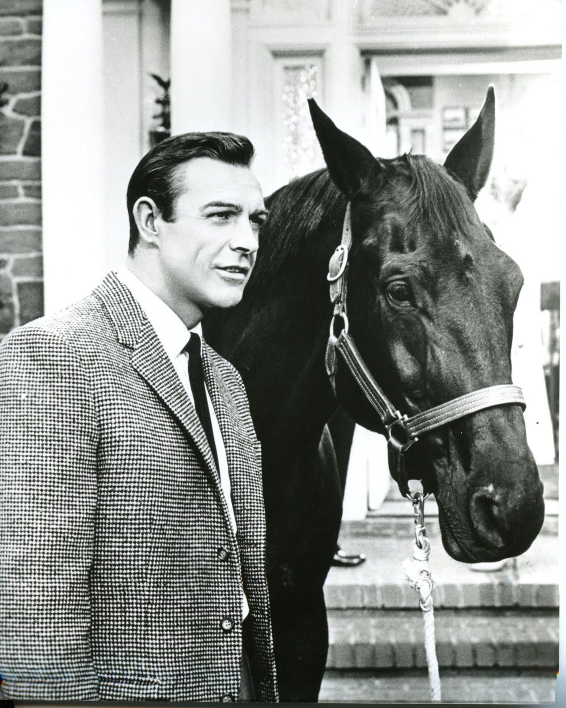 Sean Connery / James Bond / with HORSE 8.5x11 Etsy