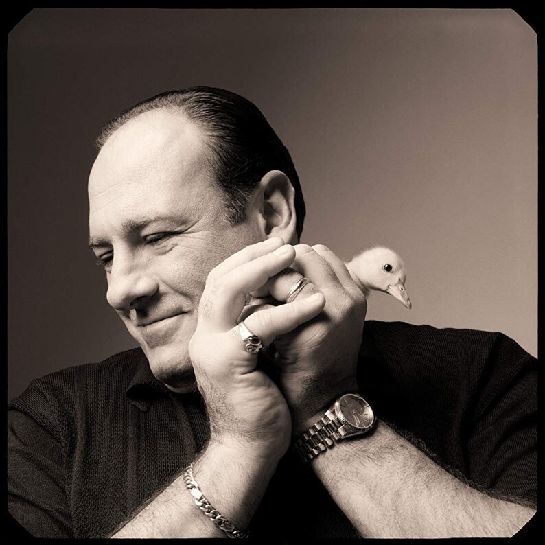 James Gandolfini Autograph Here's a Hand Signed / Etsy