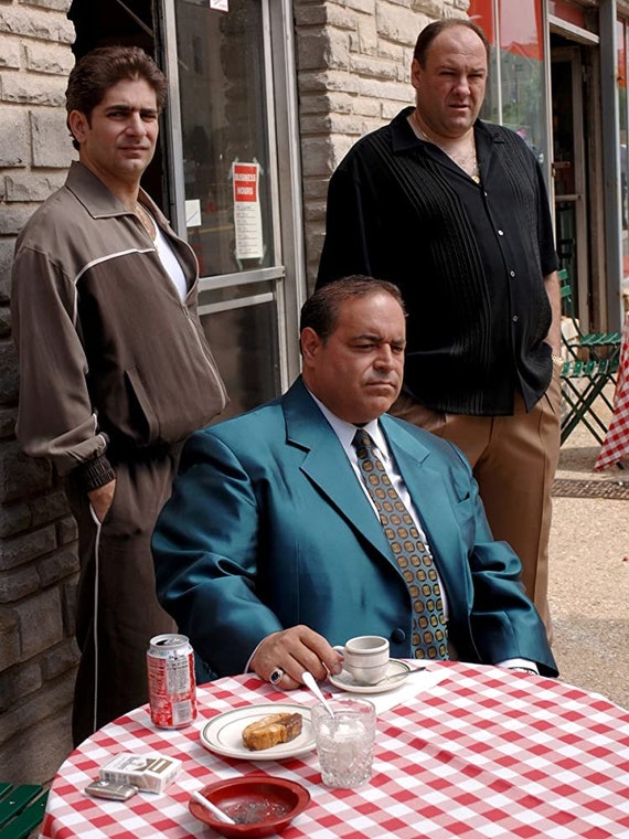 8.5x11 PHOTOGRAPH .. James Gandolfini Tony Soprano .. cast stars of the