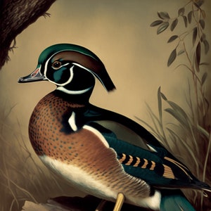 Wood Duck Vintage Art Print | Printable Wall Art | Hunting Gift | Bird Poster Art Print | Wildlife Art | Bird Lover Gift | Waterfowl Art