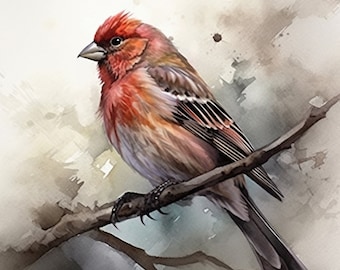 House Finch Watercolor Painting | Vintage Bird Art Print (Digital Download)