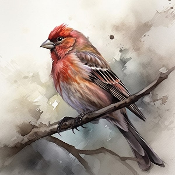 House Finch| Bird Printable Wall Art | Watercolor Bird Print | Bird Artwork | Finch Art | Watercolor Bird Art Print | Bird Art download