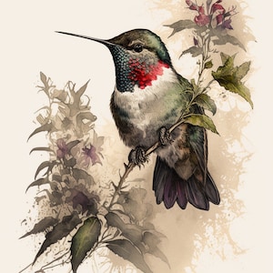 Exquisite Vintage Hummingbird Art Collection - Handmade Watercolor Bird Art Print for Home Decor | Avian Art Download for Hummingbird Lovers