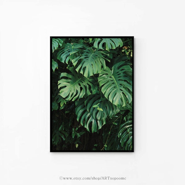 Tropical leaf print printable photography Monstera print  Printable poster Decor, Cafe Kitchen digital file 50x70 INSTANT DOWNLOAD