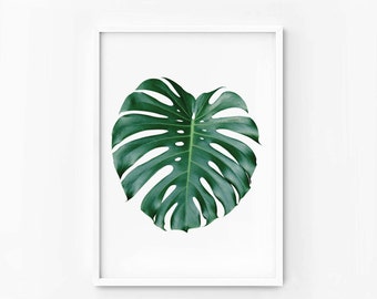 Monstera Leaf Print, Tropical Wall Art Photography (Digital Download)