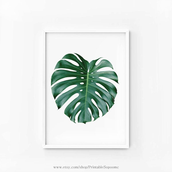 Tropical Print Minimalist art Monstera leaf Print photography Printable wall art digital file INSTANT DOWNLOAD 40x50, poster 50x70