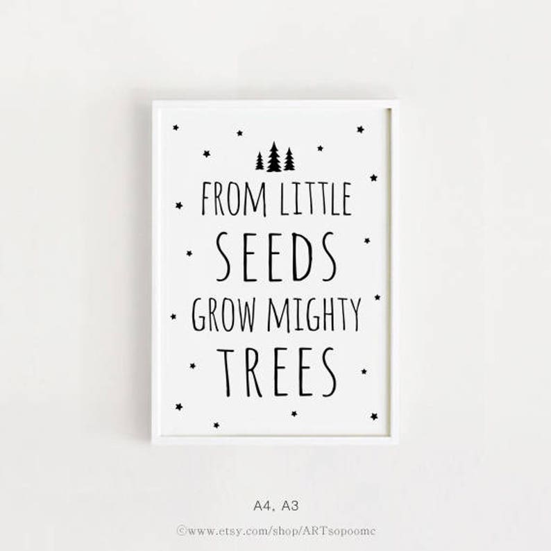 Printable Baby quotes for nursery Boy Girl art From little seeds grow mighty trees quote Poster 50x70 print Black and white wall Decor image 2