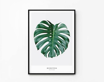 Monstera Leaf Print, Tropical Photography Poster (Digital Download)
