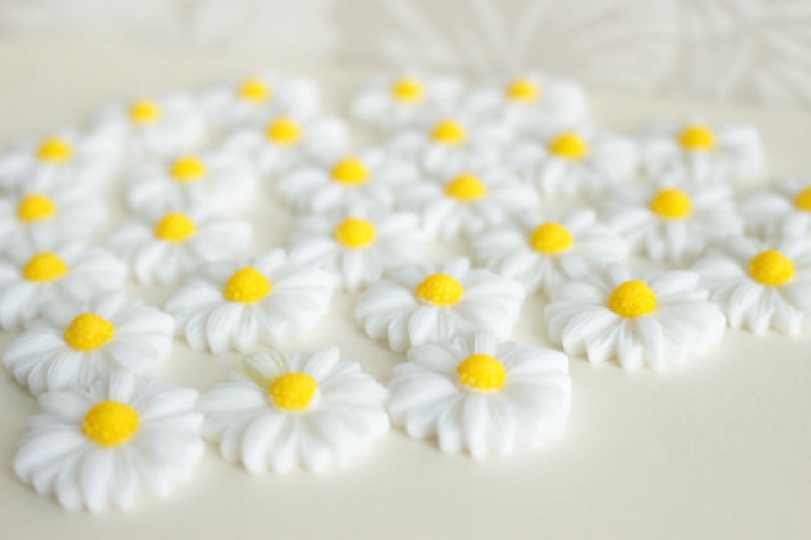 White Daisy Decorative Thumb Tacks Daisies Push Pin Set Etsy