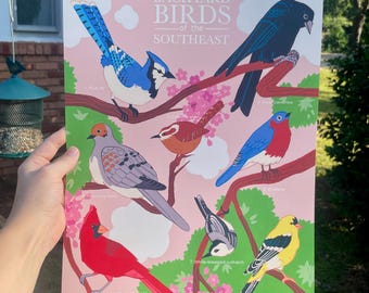 Backyard Birds of the Southeast Giclee Archival Gouache Fine Art Print