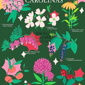 Carolina Native Plants Giclee Archival Gouache Fine Art Print