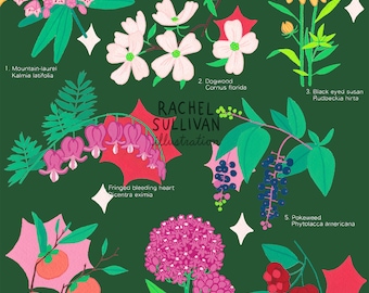 Carolina Native Plants Giclee Archival Gouache Fine Art Print