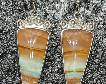 Opalized Wood And Sterling Silver Earrings, One Of A Kind Earrings, Handcrafted Earrings, Jewelry Art, Wearable Art, Made In USA