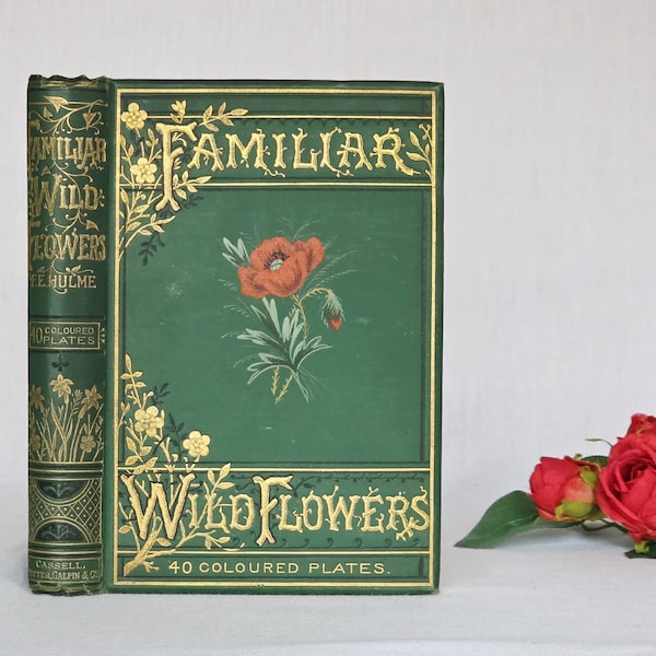 1883 Familiar Wild Flowers / Illustrated Victorian Antique Book (Fourth Series)