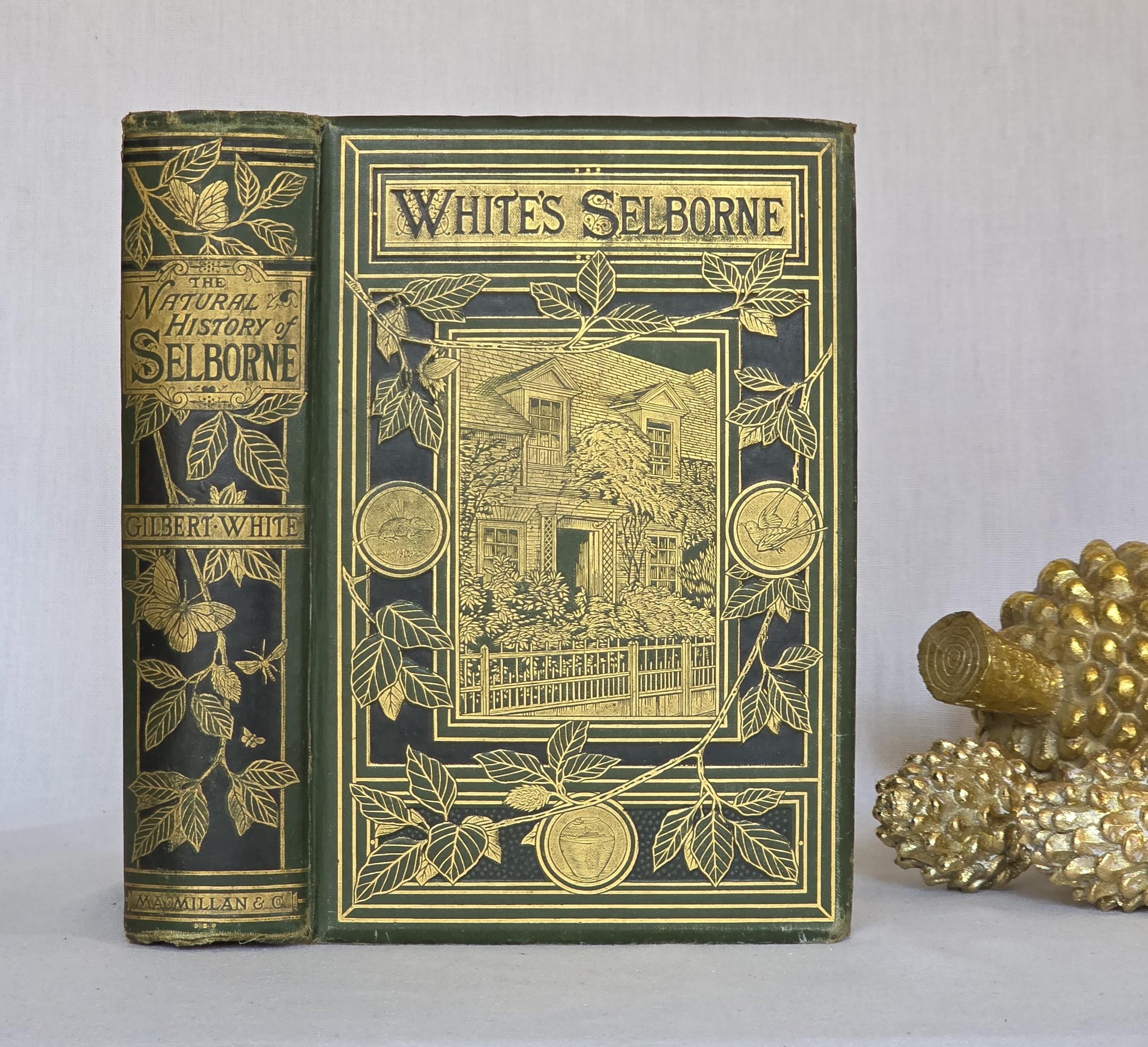 Antique White Book - Etsy