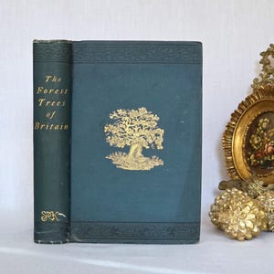 May include: Vintage book, "The Forest Trees of Britain", with a teal cover and gold lettering. The cover features a gold tree illustration. The spine also has gold lettering. A classic antique book.
