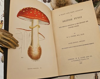 1898 British Fungi - A Plain and Easy Account by MC Cooke / WH Allen & Co., London / Twenty Superb Colour Plates / Good Condition / Mycology